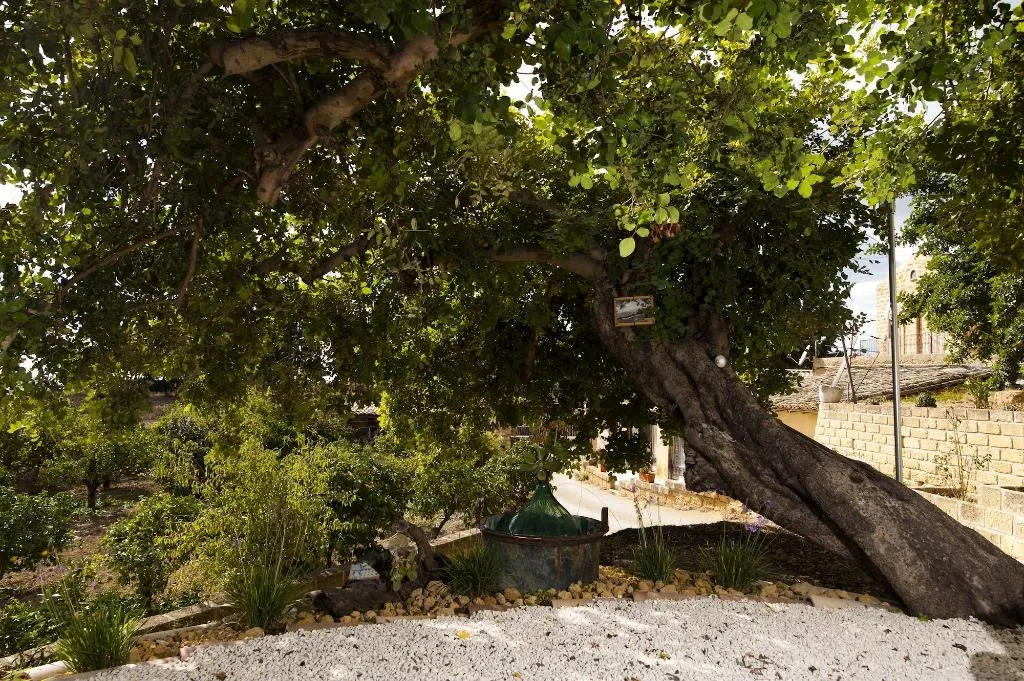 General view, Villa La Lumia B&B Suites & Apartments, Catania