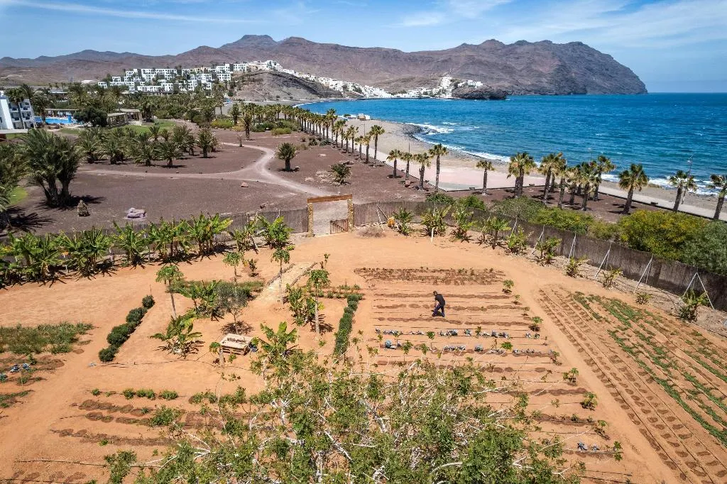 General view, Playitas Hotel, Fuerteventura