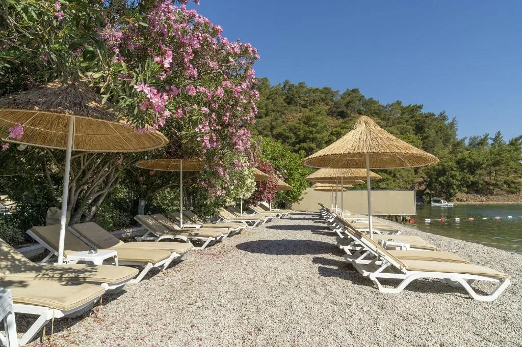 Beach, Alesta Midtown, Dalaman