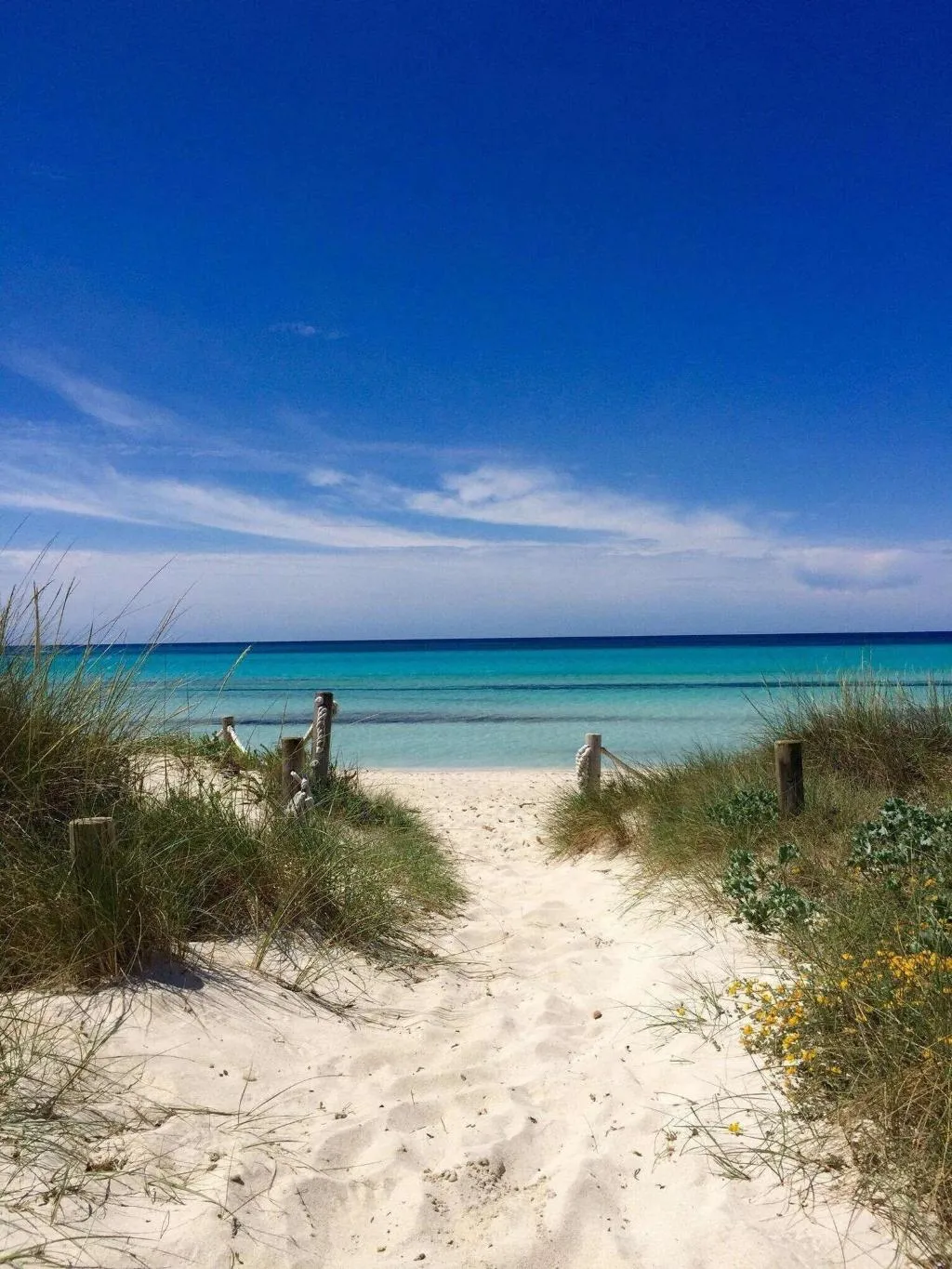 Beach, Blau Colonia Sant Jordi Resort, Majorca
