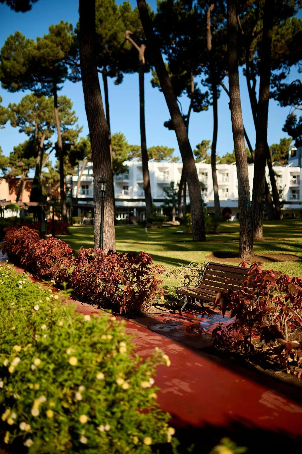 Terrace, AluaSun Marbella Park, Costa Del Sol