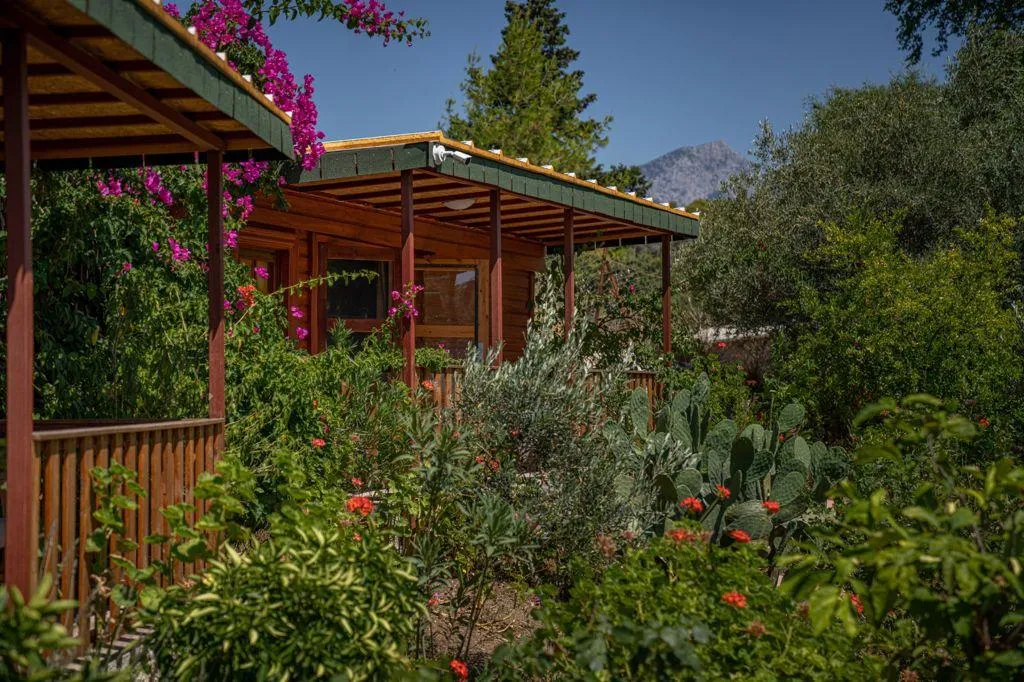 General view, Felicity Hotel & Bungalows, Antalya