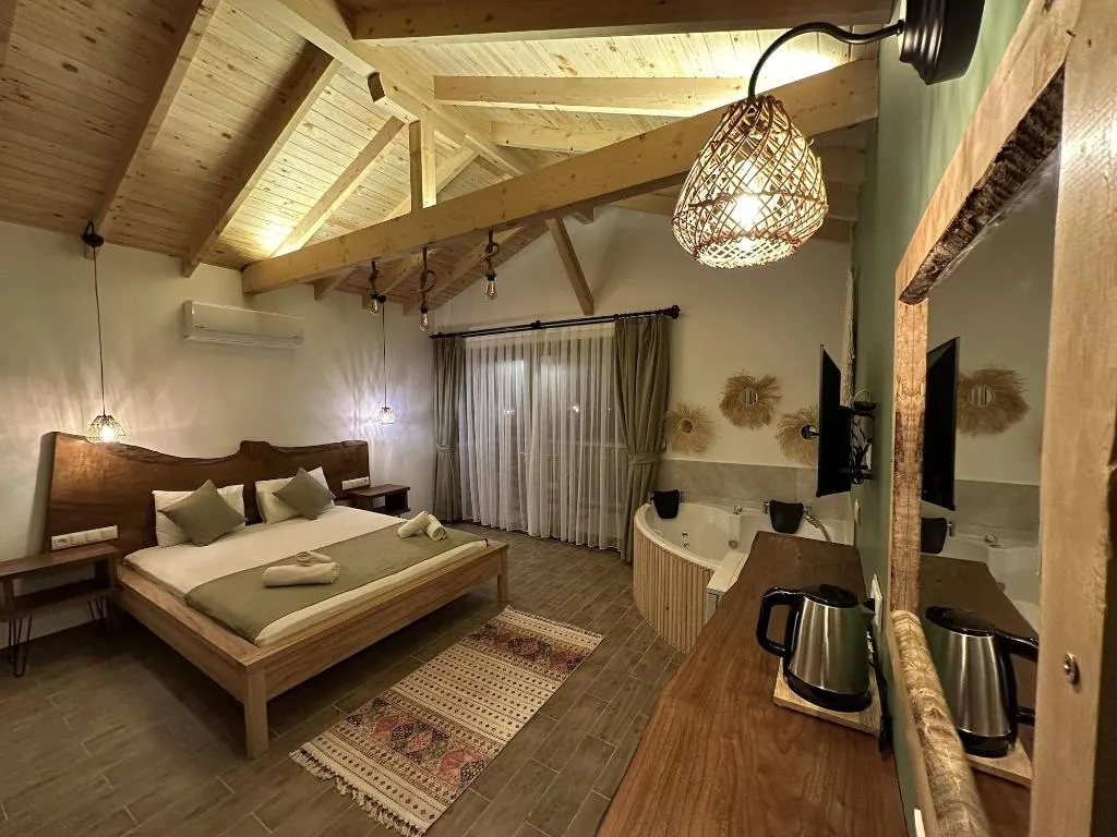 Room, Faralya Misafir Evi, Dalaman