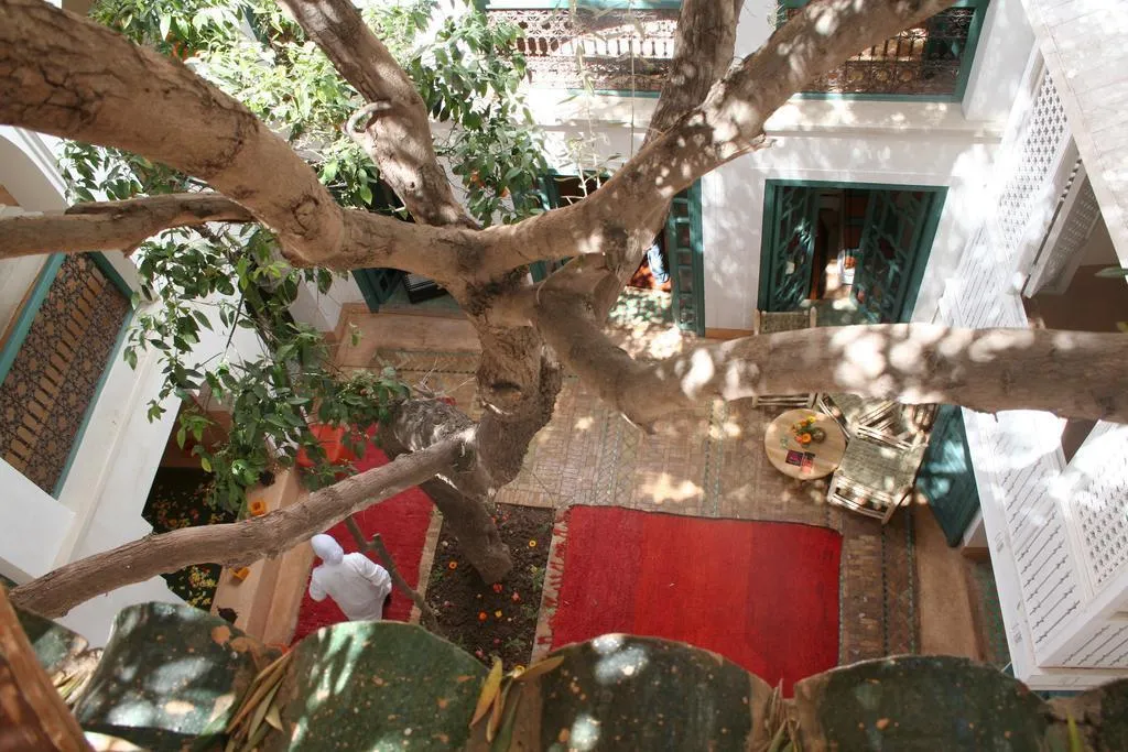 General view, Riad Zitouna, Marrakech