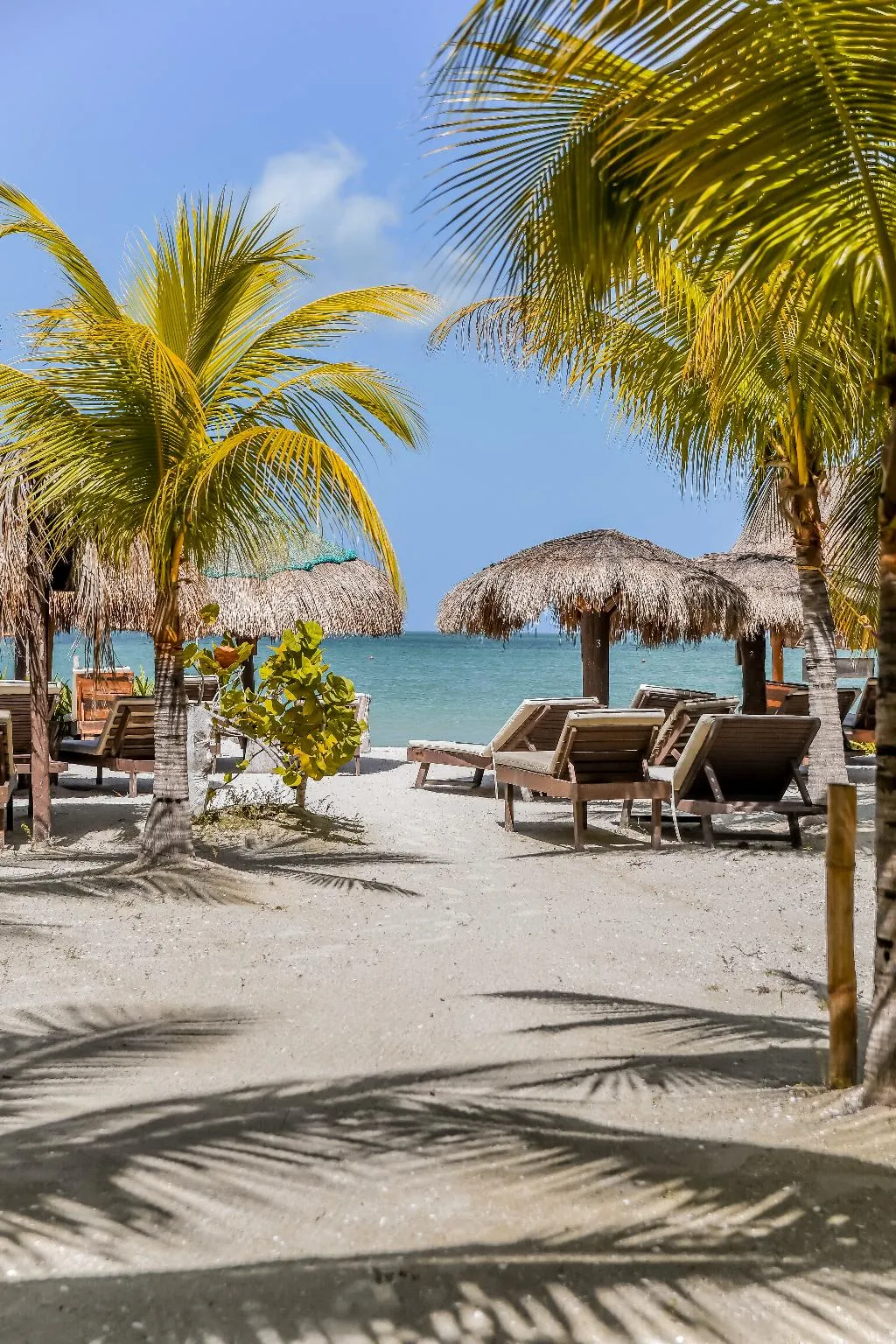 Beach, Zomay Beachfront Holbox, Cancun Area