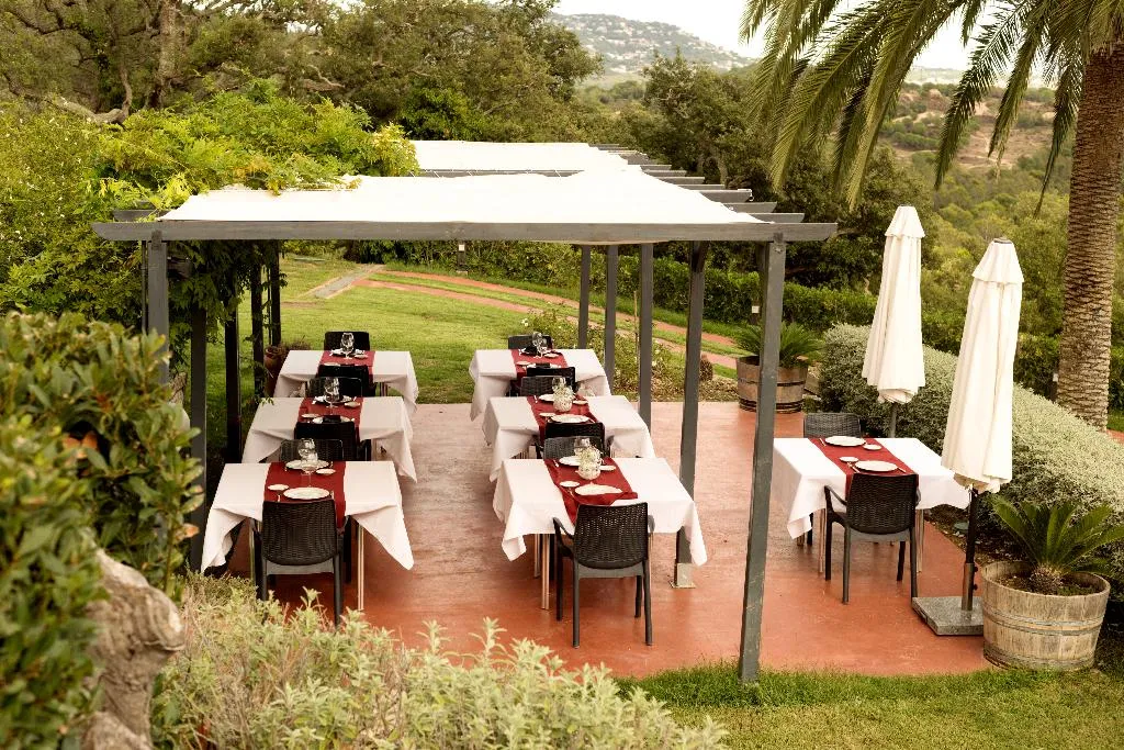 Bar, Sant Pere Del Bosc, Costa Brava