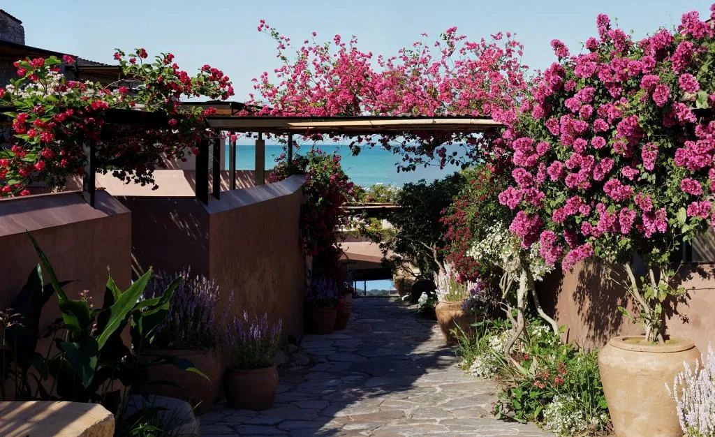 General view, Volta Seaside Boutique Hotel, Crete