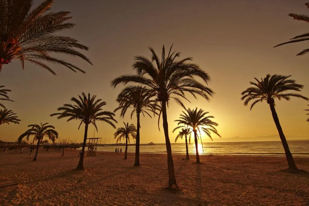 Beach, Caribbean Bay, Majorca