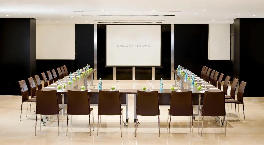Conferences, Melia Madrid Princesa, Madrid