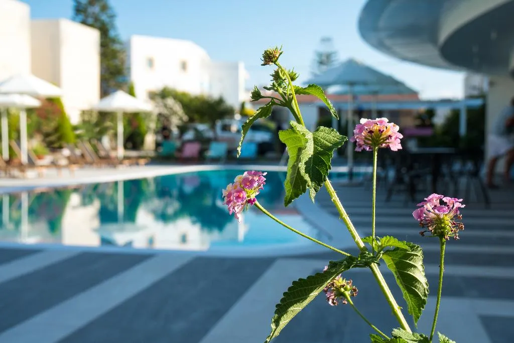 VILLA CAPACITY 6 Room, Evdokia Suites, Crete