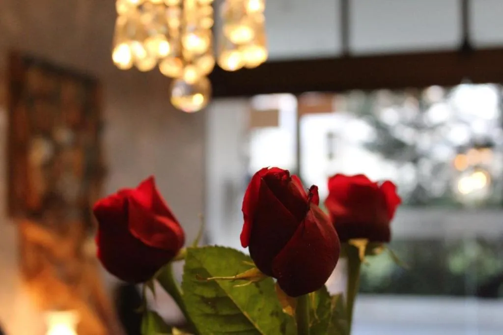 SINGLE STANDARD Room, Meia Lua, Porto