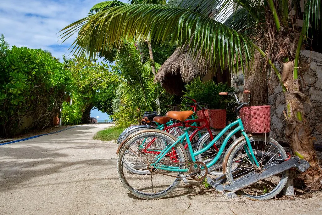 Sports and Entertainment, Holbox Dream Beachfront Hotel, Cancun Area