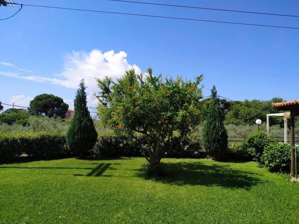 General view, Esperos Studios, Skiathos