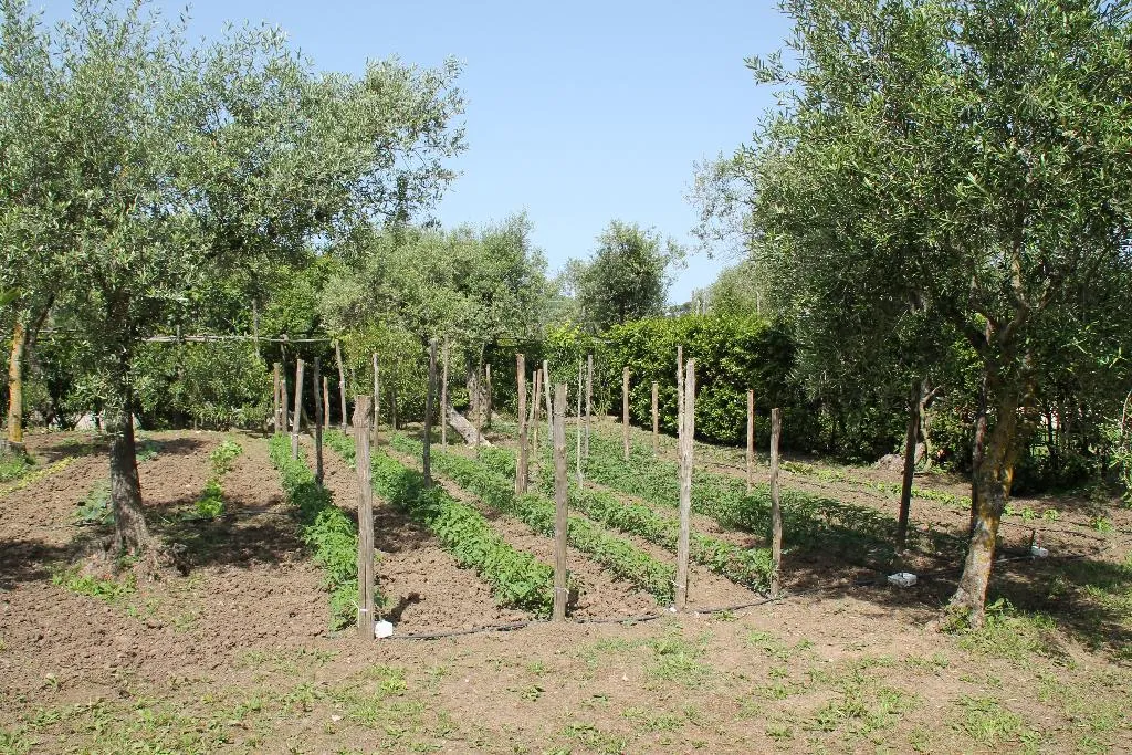 General view, Agriturismo Piccolo Paradiso, Naples