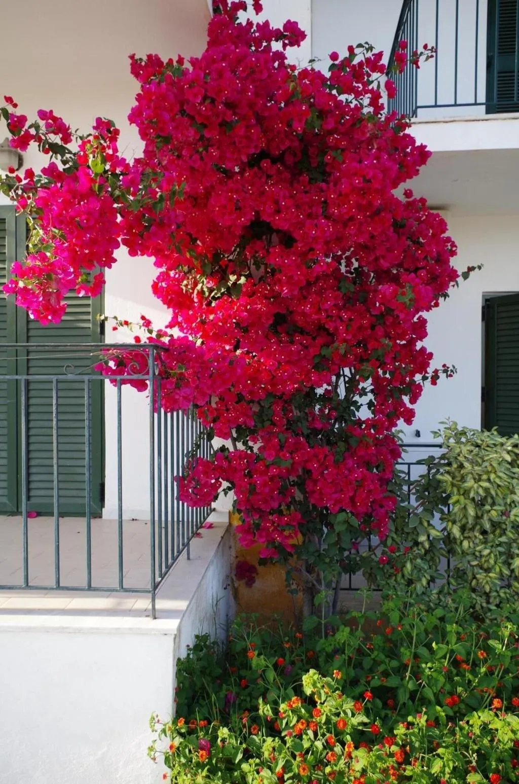 General view, Esperos Studios, Skiathos