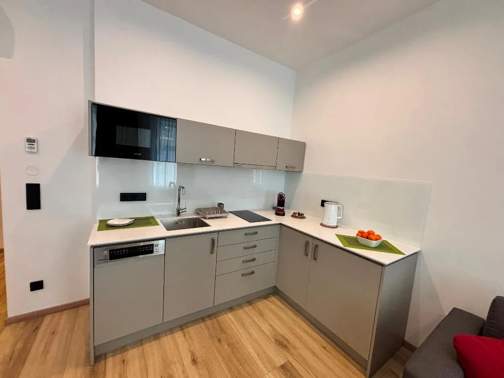 APARTMENT CLASSIC ONE BEDROOM Room, Lucia, Vienna