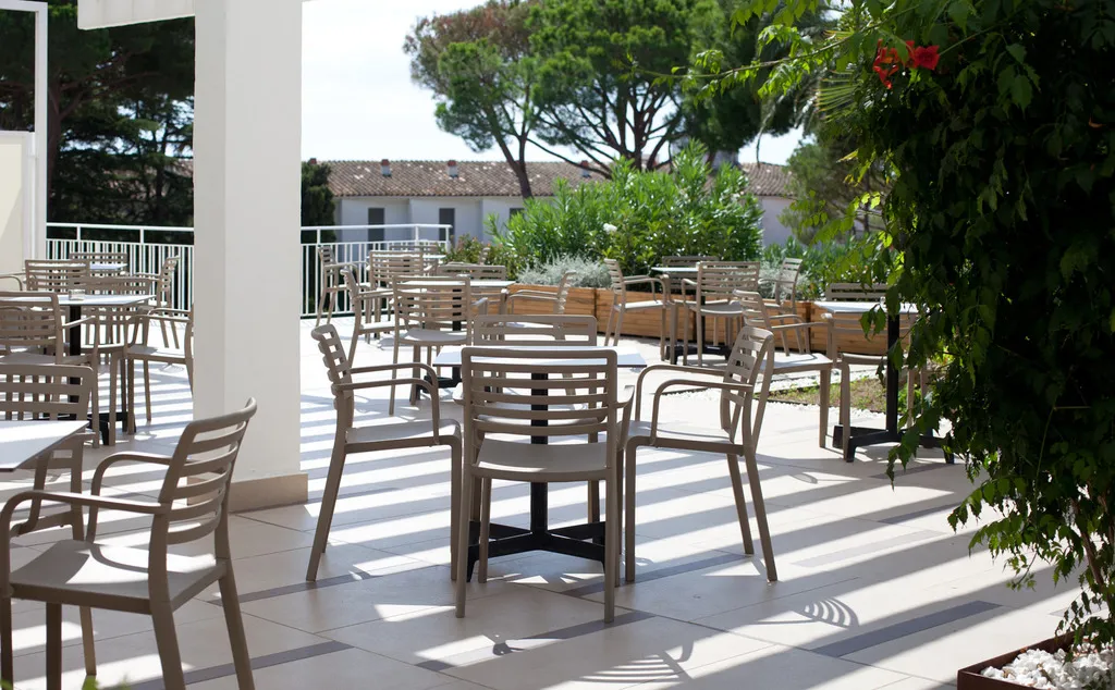 Bar, Alga, Costa Brava