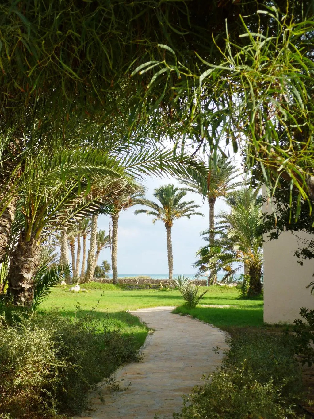 General view, Zita Beach Resort, Tunisia