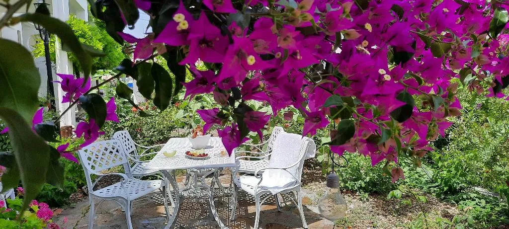 General view, Maria Studios, Samos