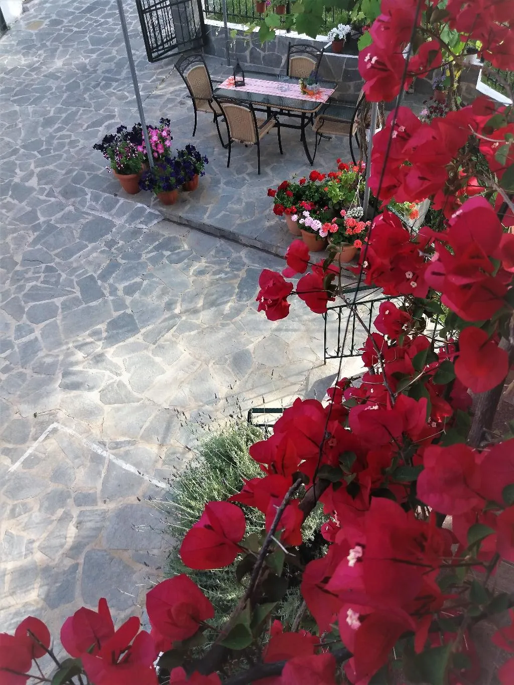 General view, Ziogas Luxury Apartment's, Corfu