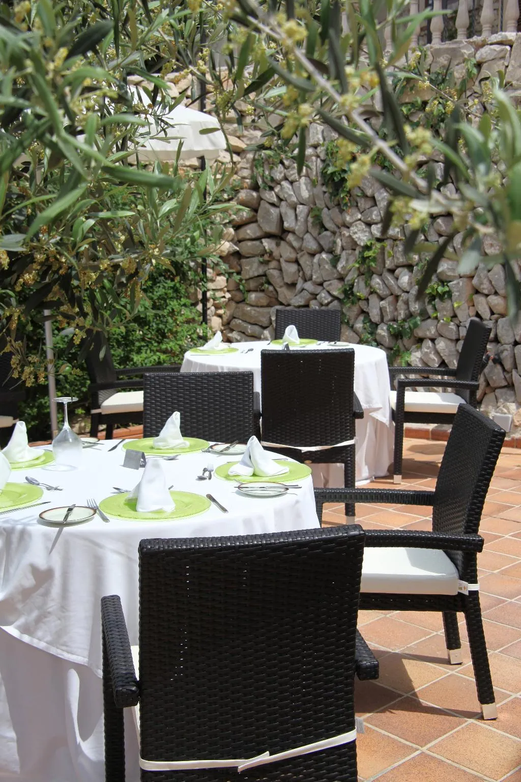 Terrace, reco de Randa, Majorca