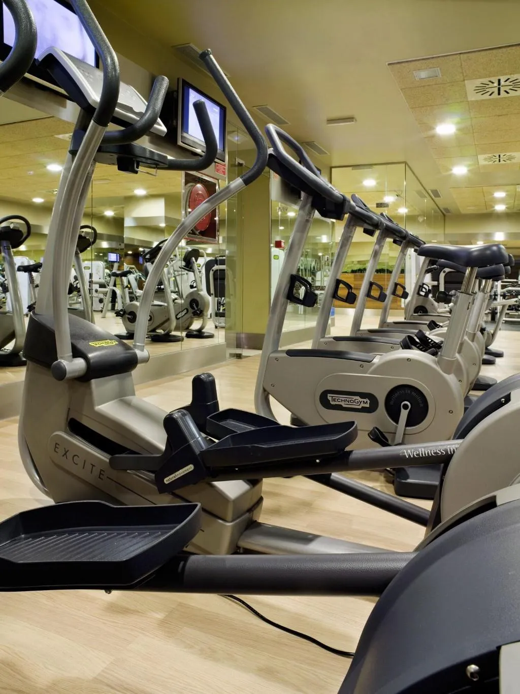 Sports and Entertainment, Melia Avenida America, Madrid