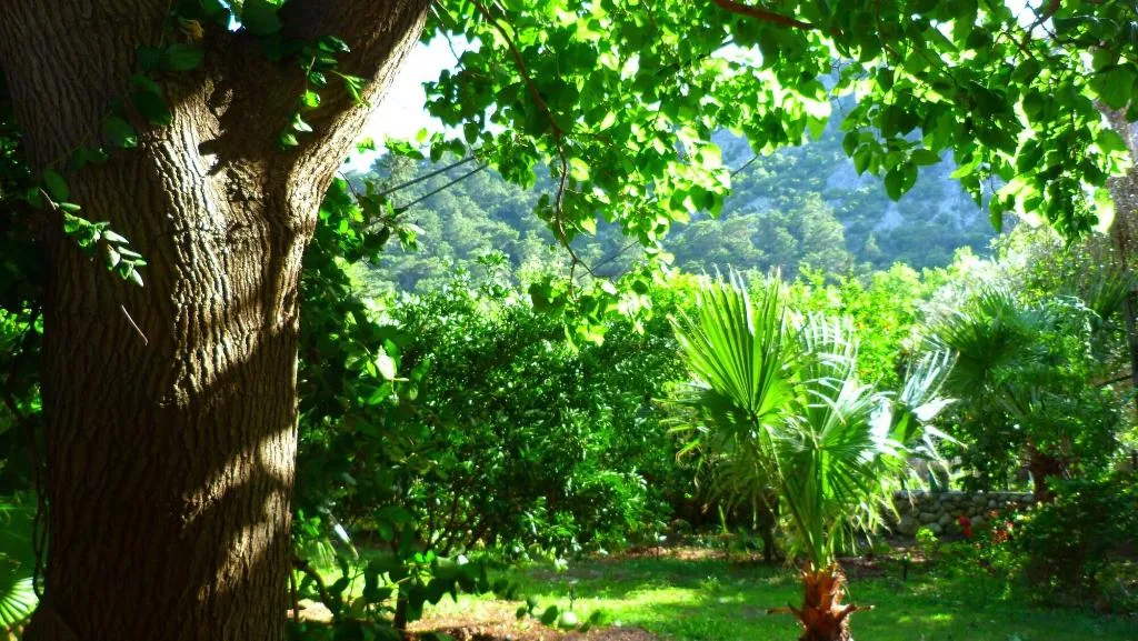 General view, Simge Pension, Antalya