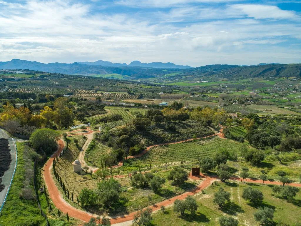 Sports and Entertainment, Cortijo La Organic, Costa Del Sol