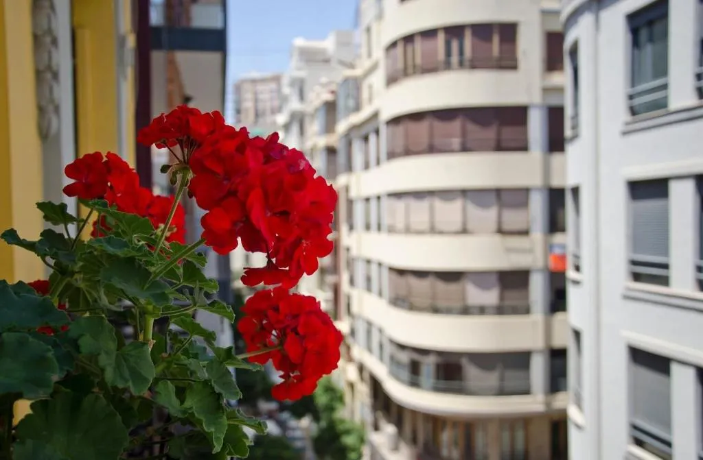 Room, Jero Rooms, Valencia