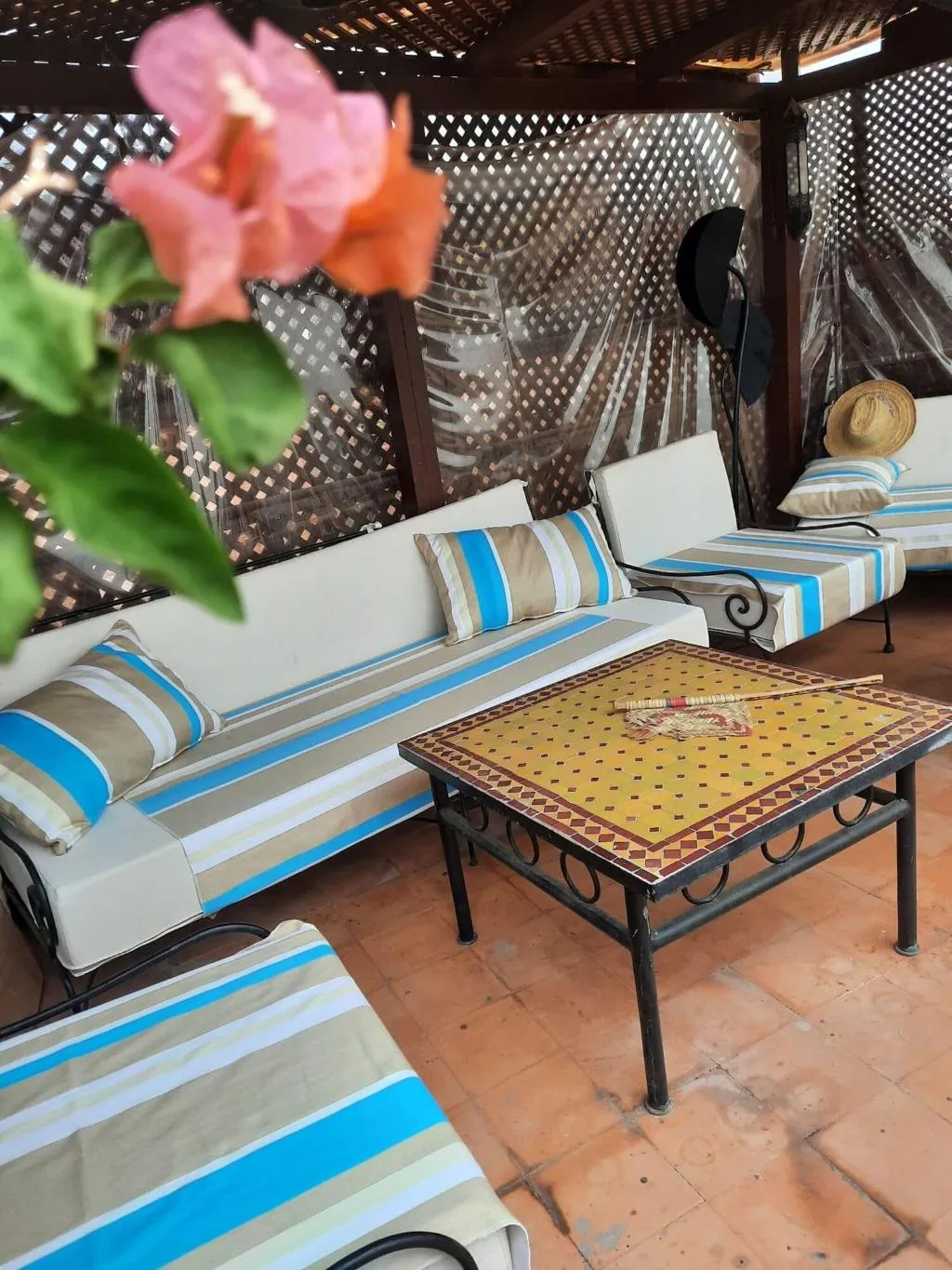Terrace, Riad Aubrac, Marrakech