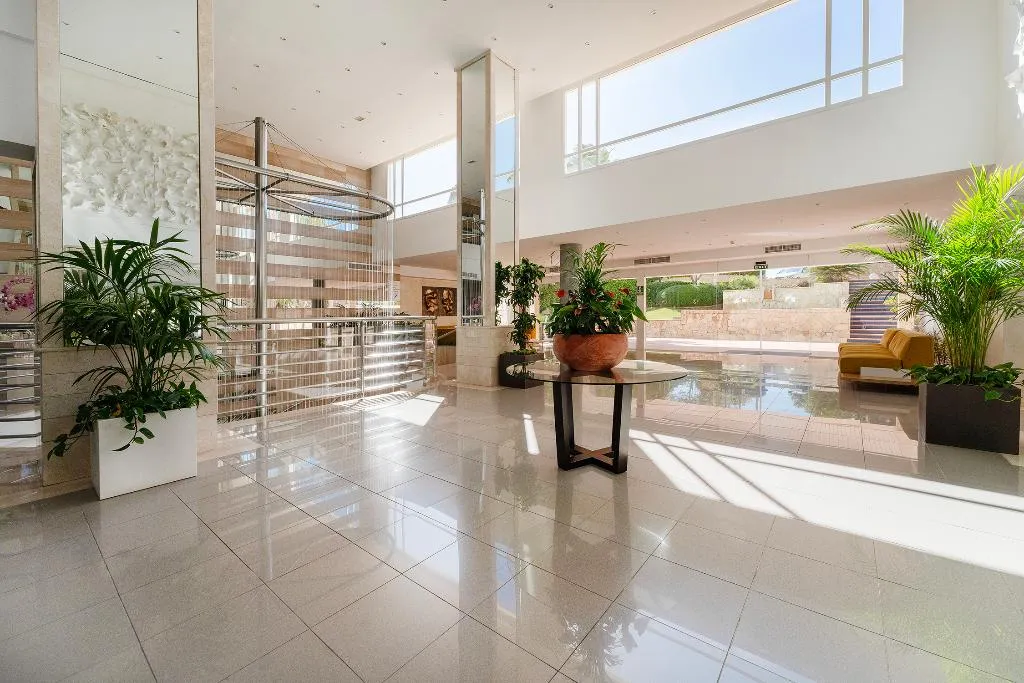 Lobby, Timor, Majorca