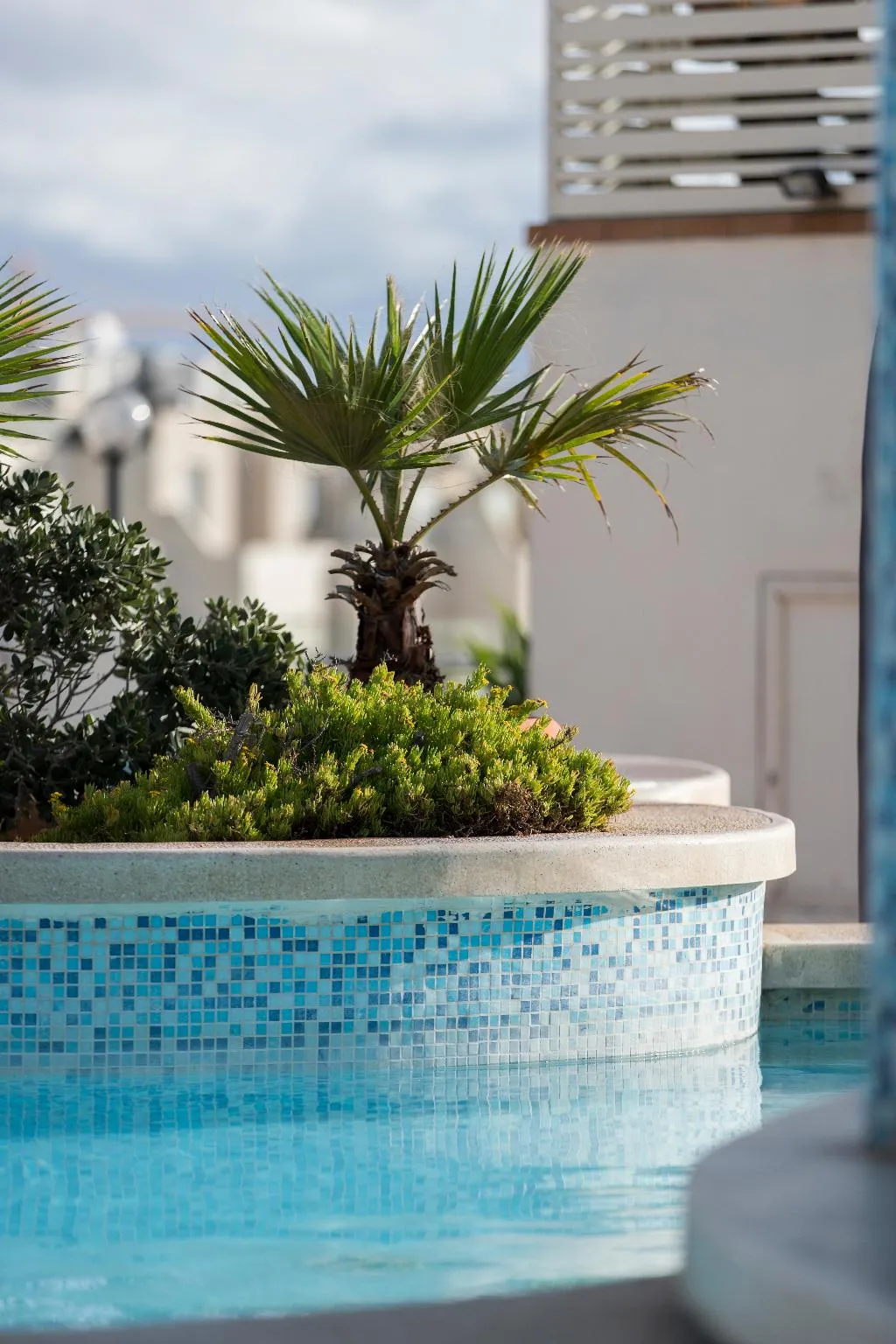 Pool, Sunflower, Malta