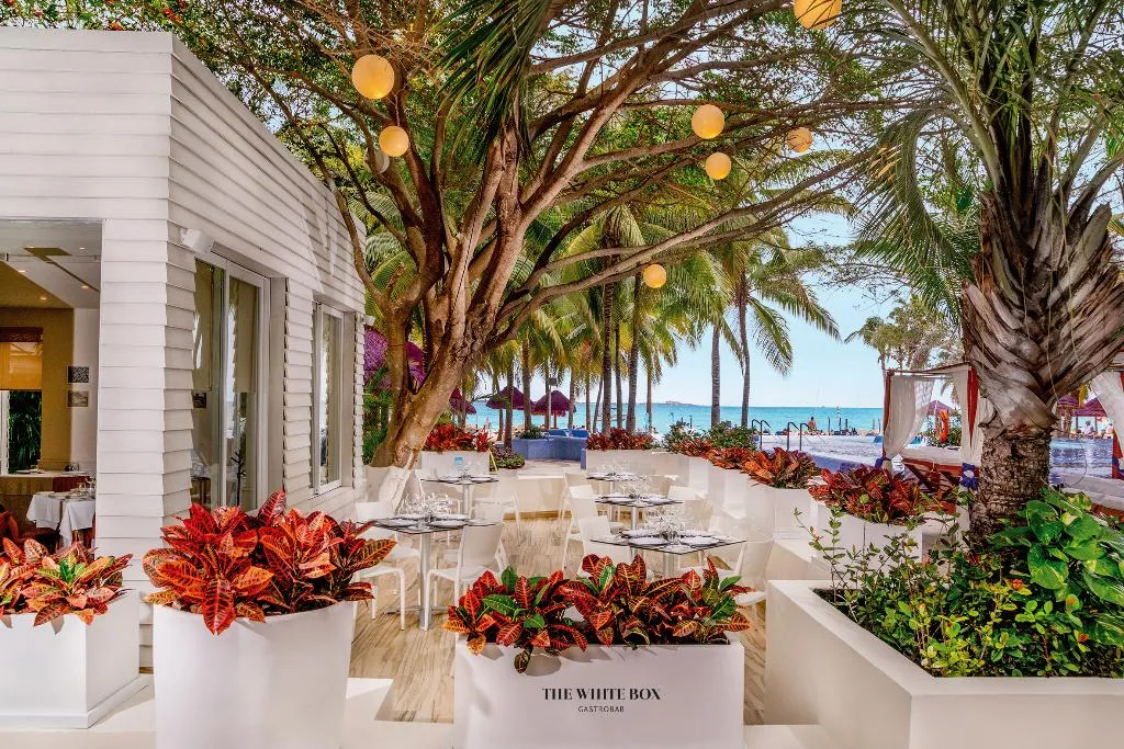 Restaurant, The Sens Cancun By Oasis, Cancun Area