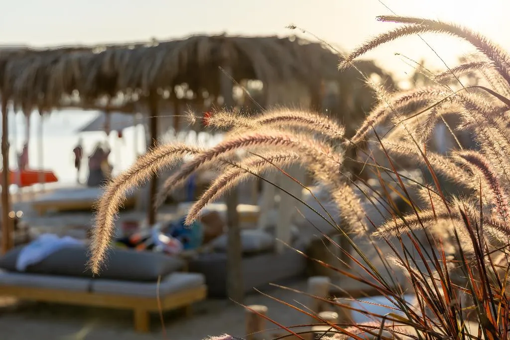 Beach, Fort Arabesque Resort, Spa and Villas, Red Sea Riviera