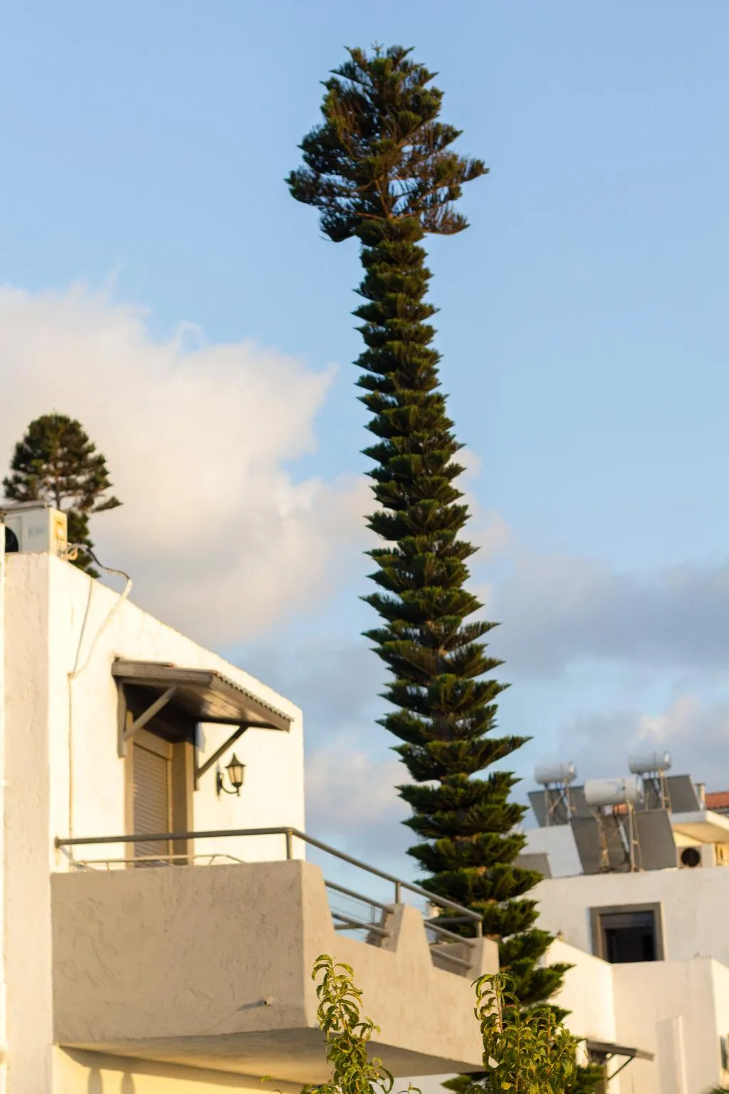 Terrace, Villa Marina, Crete