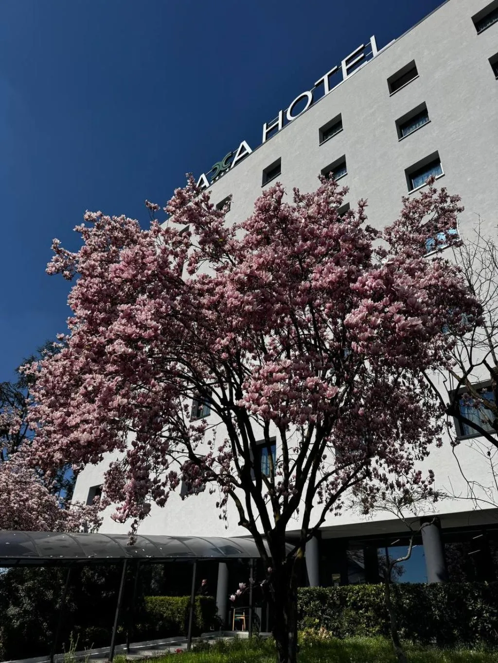 General view, Acca Sporting Milano - AA Hotels, Milan
