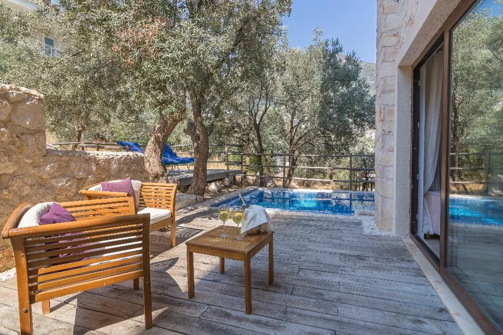 DOUBLE DELUXE WITH PRIVATE POOL Room, Oasis Hotel Kalkan +16, Dalaman