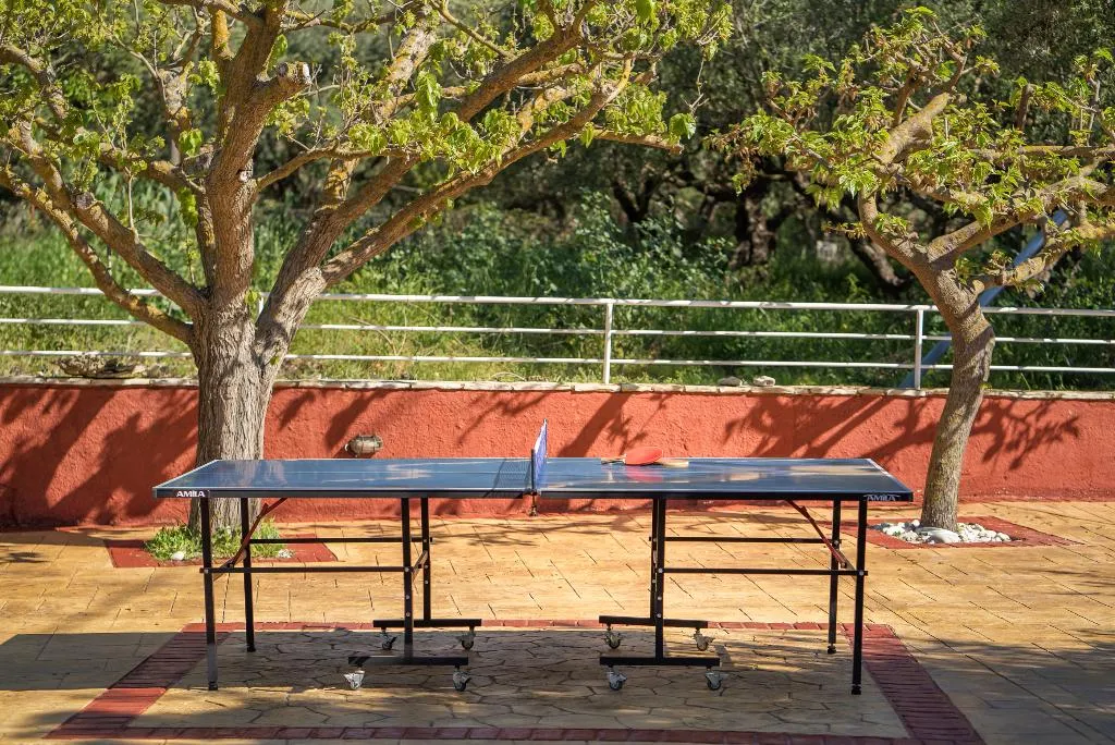 Sports and Entertainment, Armonia Studios & Apartments, Zante