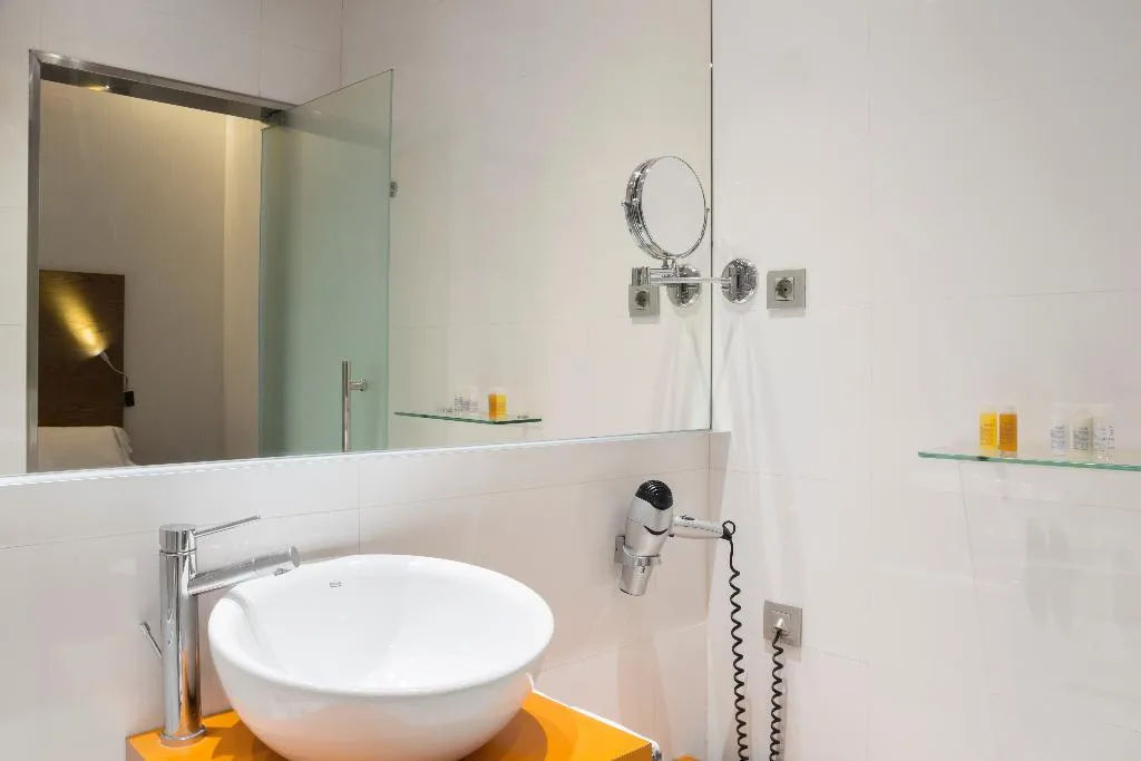 DOUBLE SINGLE USE STANDARD Room, Petit Palace Plaza Malaga, Costa Del Sol
