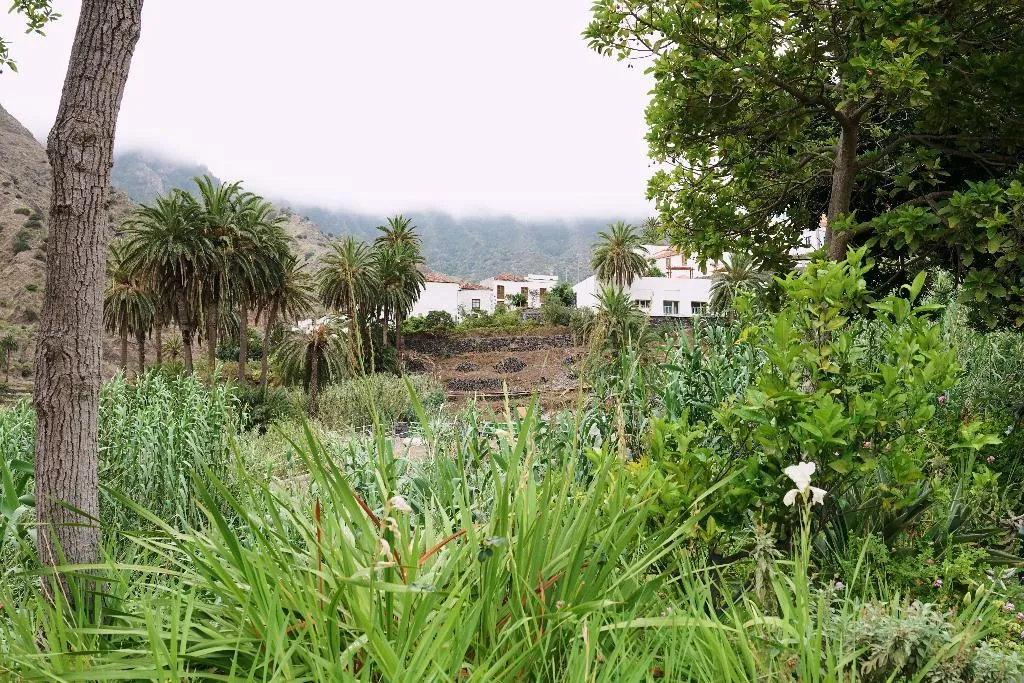 General view, Finca Piñero, Tenerife
