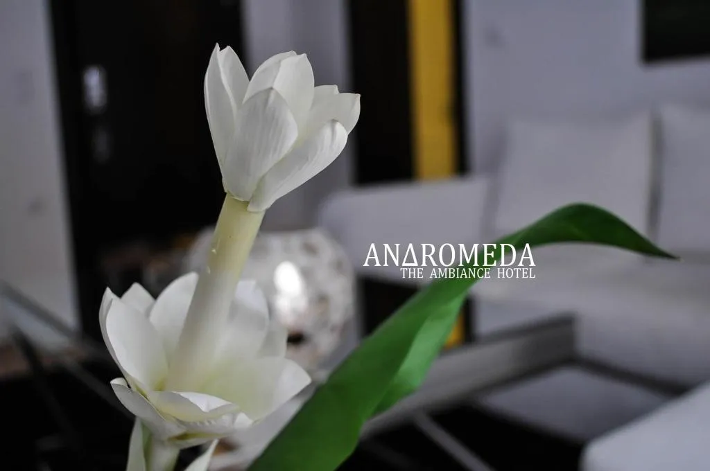 Lobby, Andromeda, Halkidiki