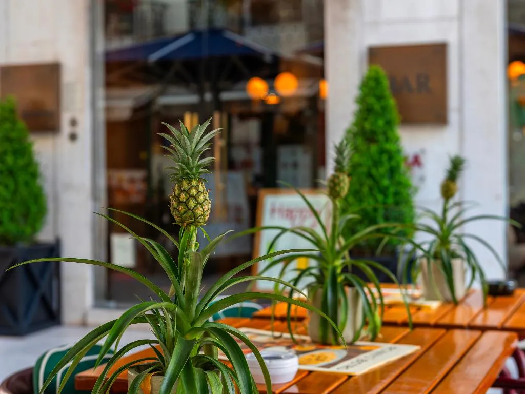 Terrace, Browns Boutique Hotel, Lisbon