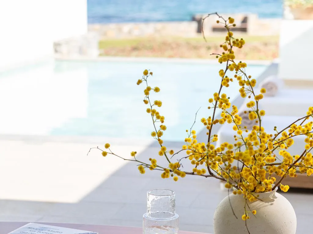 JUNIOR SUITE SEA VIEW WITH PRIVATE POOL Room, Amirandes, A Resort to Live, Crete