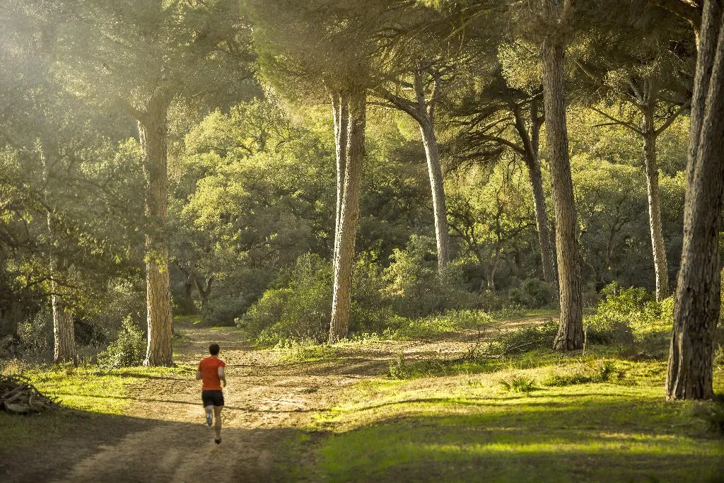 Sports and Entertainment, SO/ Sotogrande Spa & Golf Resort Hotel, Costa Del Sol
