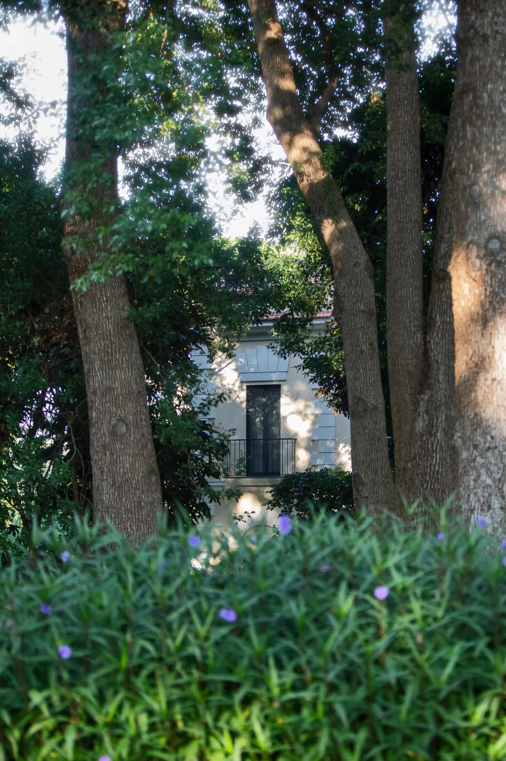 General view, Parco Dei Principi, Naples