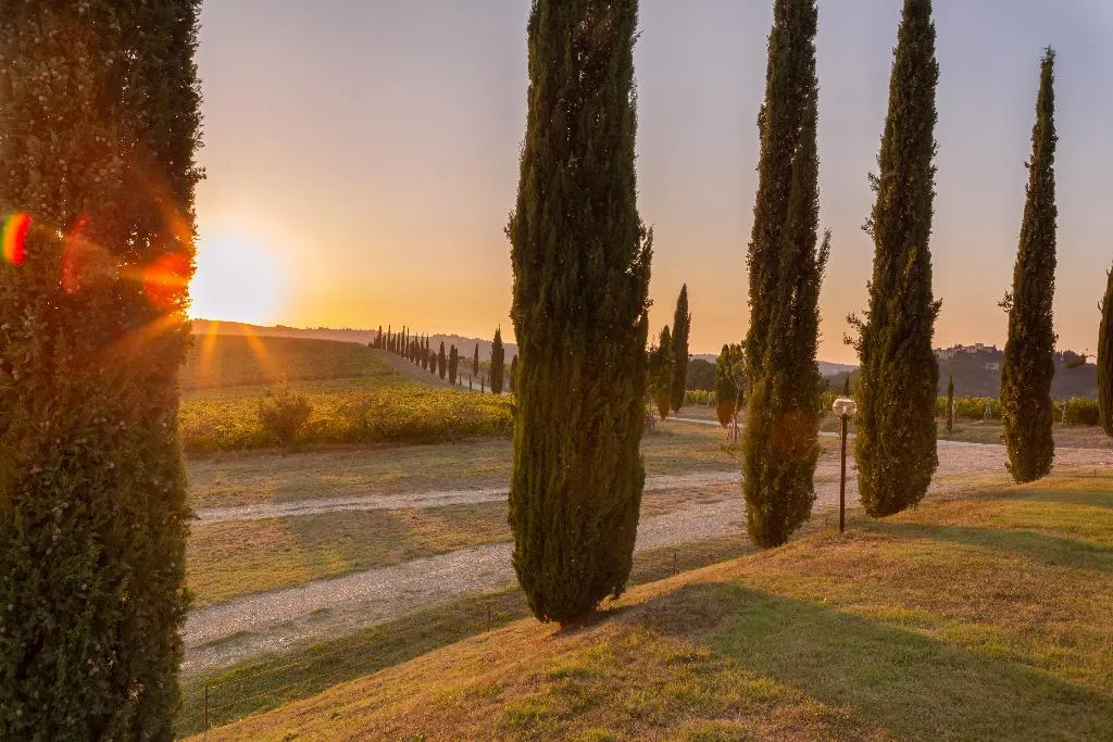 General view, Fattoria Pratale, Florence