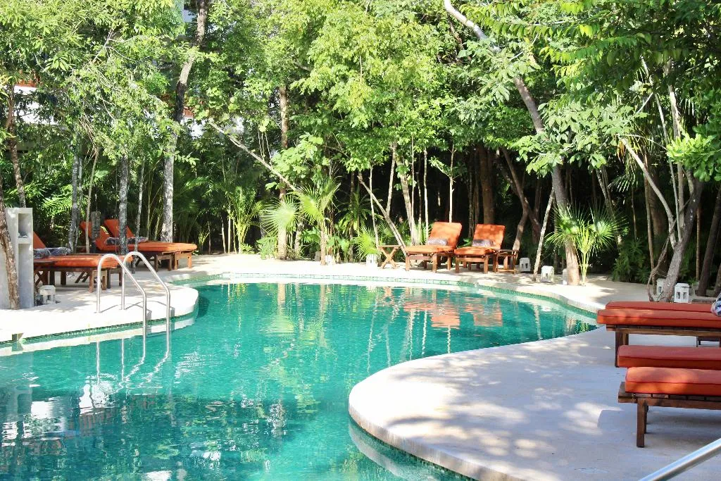 Pool, Aluna Resort Tulum, Cancun Area