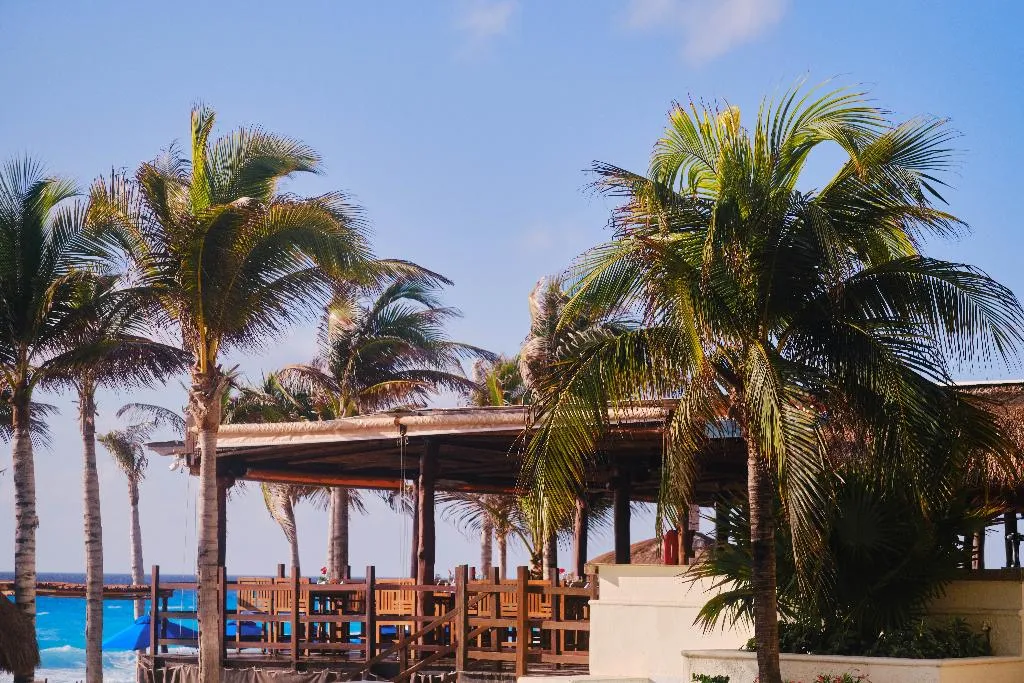 Restaurant, NYX Cancun, Cancun Area