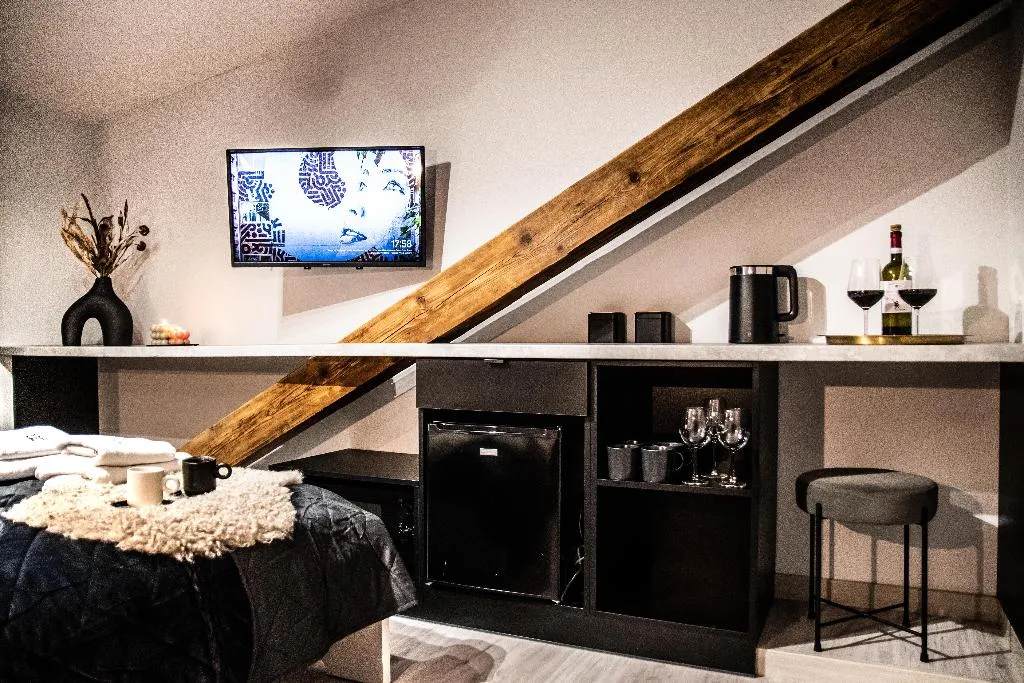 STUDIO STANDARD Room, Wine Apartments, Krakow