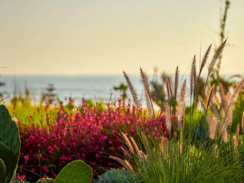 Sports and Entertainment, Fairmont Taghazout Bay, Agadir